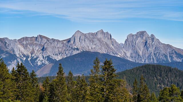 Foto: Norbert Ortner