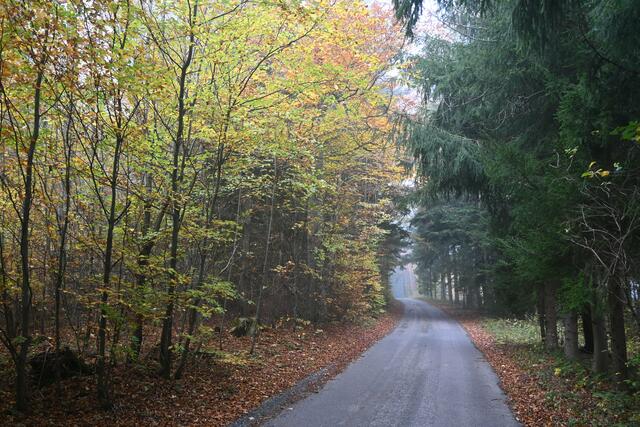 Ich gehe aber auf der Straße weiter in der Hoffnung auf mehr Aussicht, wenn sich der Nebel hebt