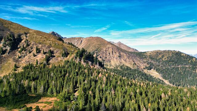 Foto: Norbert Ortner