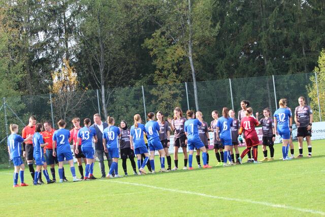 Foto: MeinBezirk Perg/Köck