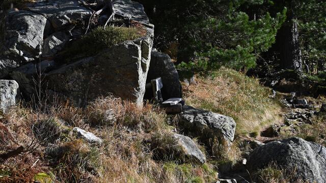 Foto: Norbert Ortner