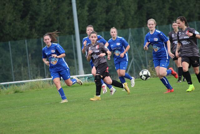 Foto: MeinBezirk Perg/Köck