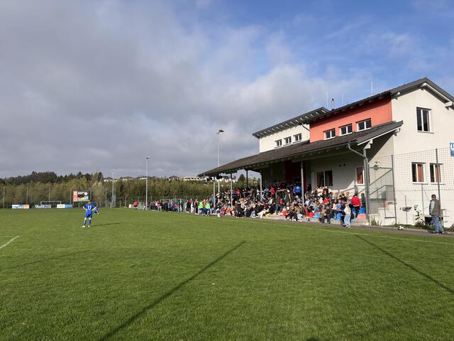 Foto: MeinBezirk Perg/Köck