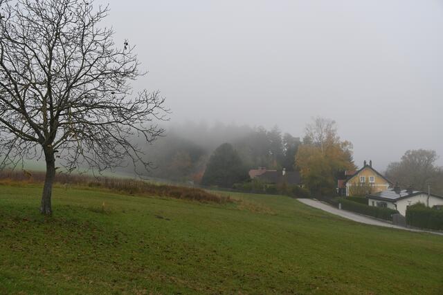 Die Trautenbergstraße hinauf