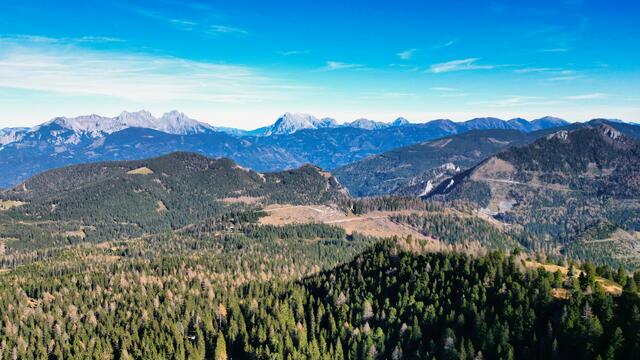 Foto: Norbert Ortner