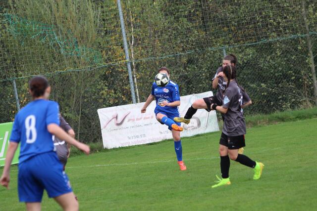 Foto: MeinBezirk Perg/Köck