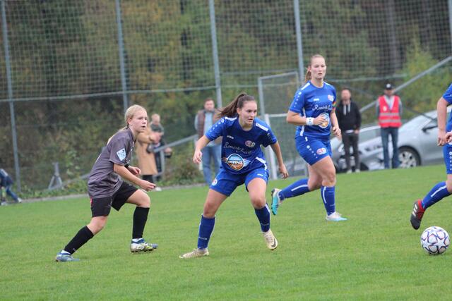 Foto: MeinBezirk Perg/Köck