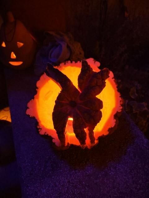 Kürbisschnitzerei bei Familie Krenn | Foto: Anna Carlotta Seymann