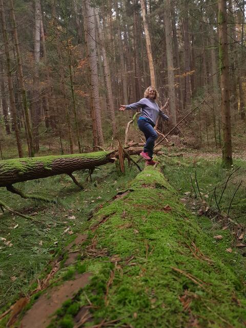 Man soll nicht nur im Regen tanzen können, sondern auch auf Baumstämmen😅. Balance ist wichtig im Leben