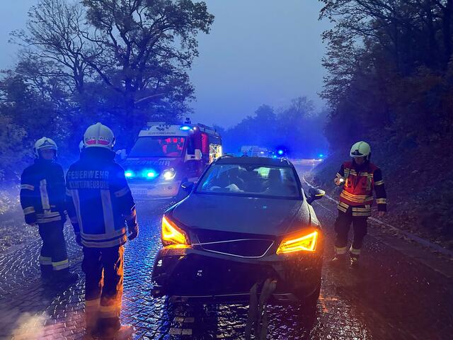 20 Mann der FF Klosterneuburg waren im Einsatz | Foto: FF Klosterneuburg