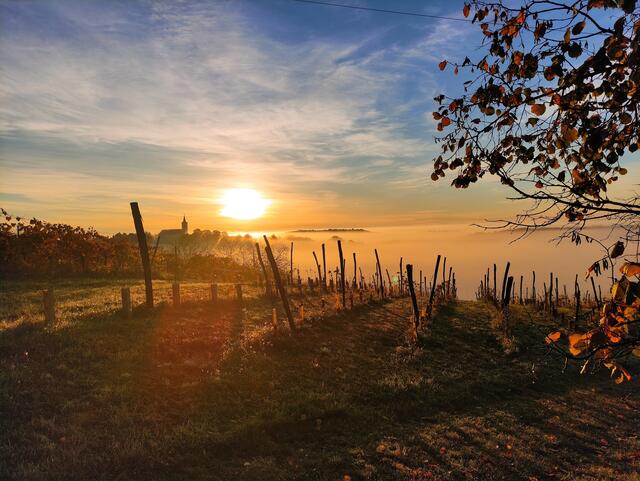 Von Montag bis Donnerstag soll es im Burgenland trocken bleiben. Mit viel Sonnenschein ist zu rechnen. | Foto: David Oberkofler