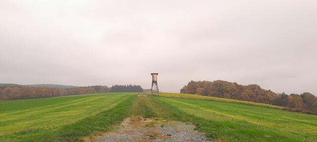 Das ist kein Aussichtsturm, sondern an  Jagasitz 😅