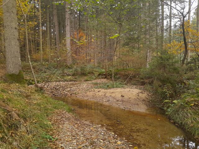 An Sand und Schotterbänken, die es vorher in dieser Form nicht gab, sieht man die Veränderung durch das Wasser.
