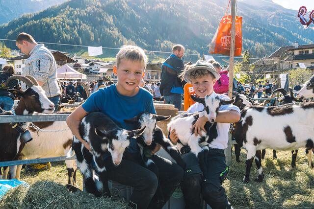 Elias und Samuel kümmerten sich um die mitgebrachten Kitze. | Foto: Pernsteiner