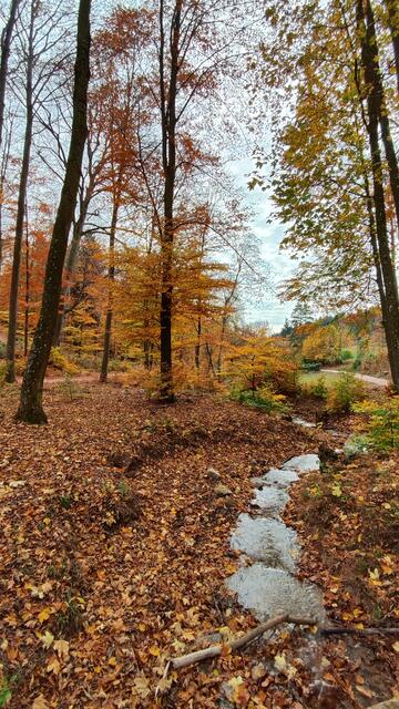 Herrliche Herbststimmung... | Foto: I.Wozonig