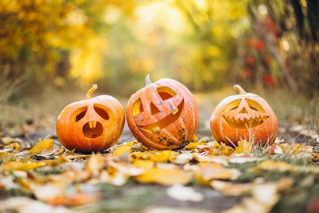 Richtiges Gruselwetter bekommen wir eher nicht zu Halloween. Gruselig ist es nur in Bezug auf die Klimakrise, da die Temperaturen überdurchschnittlich hoch für Ende Oktober sind. | Foto: Pixabay