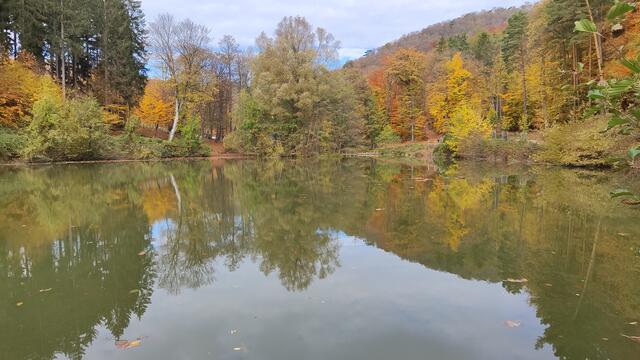 Herbstfreuden... | Foto: I.Wozonig
