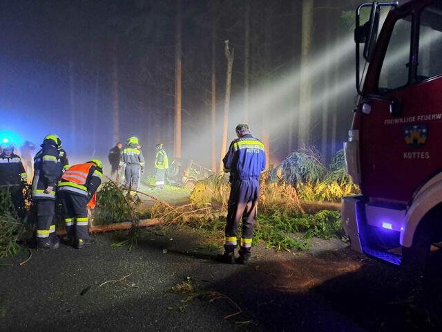 Durch die Wucht des Aufpralls wurde der Baum in ca. fünf Meter Höhe abgerissen und fiel auf die Fahrbahn. | Foto: FF Kottes
