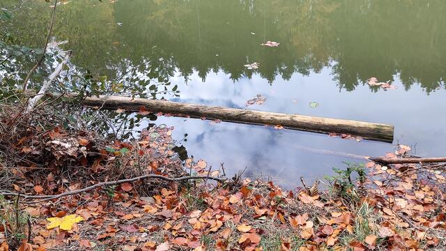Am Wasser ist es immer schön... | Foto: I.Wozonig
