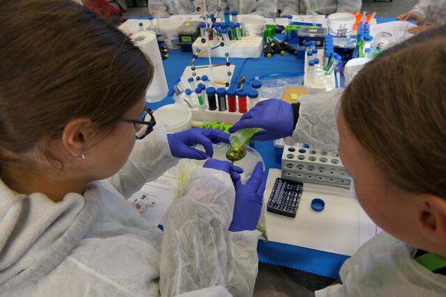 Kinder durften beim "MINTday" Experimentieren und Ausprobieren. | Foto: LEADER Region FUMO