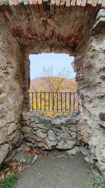 Blick in den Herbst... | Foto: I.Wozonig
