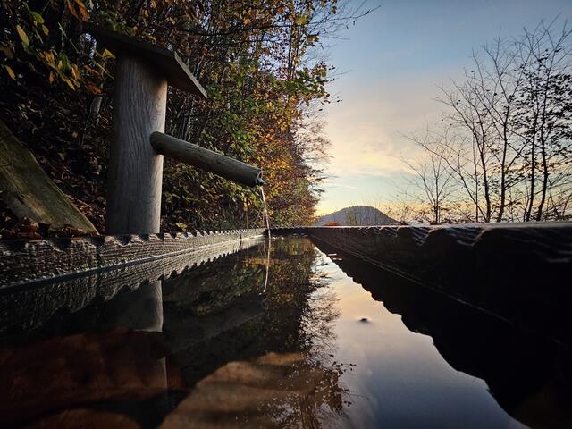 Brunnen, am Forstweg abends, Prochenberg, Ybbsitz | Foto: Christian Hahn