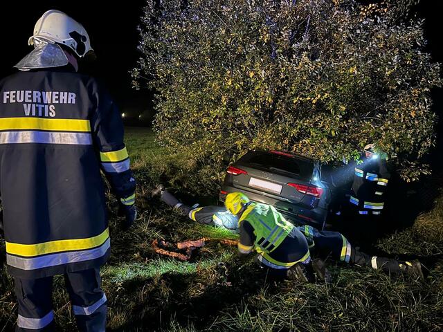 Die Fahrt endete an einem Baum | Foto: FF Vitis