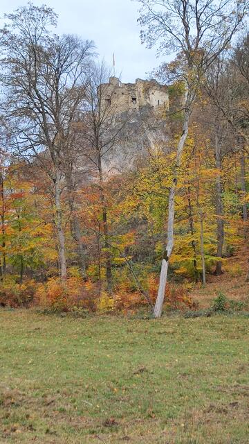 Blick zur Ruine Johannstein... | Foto: I.Wozonig