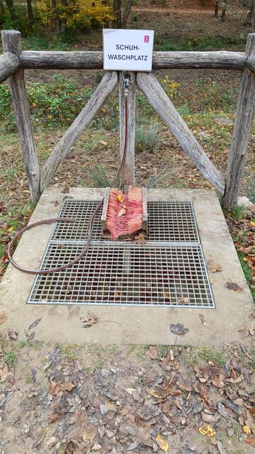 Eine originelle Idee! | Foto: I.Wozonig