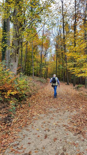 Wir spazieren zur Ruine hinauf... | Foto: I.Wozonig