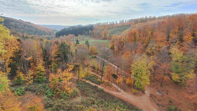 Auf das Naturparkareal hinuntergeschaut... | Foto: I.Wozonig