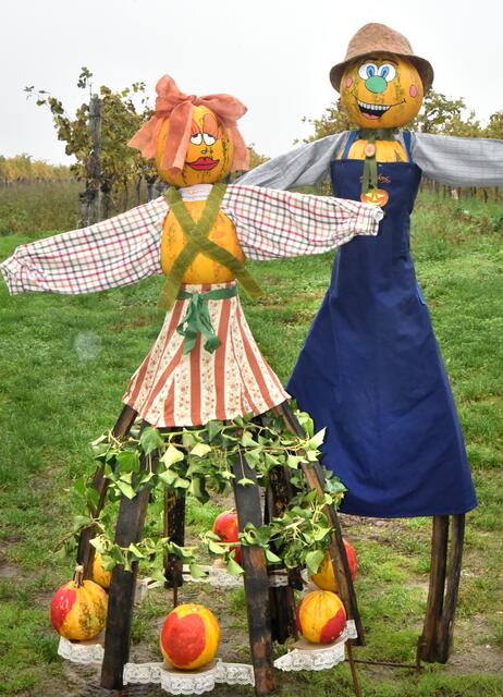 Kürbisfest in Zellerndorf. | Foto: Herbert Schleich