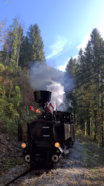Vor dem Frondsberg-Tunnel, nach dem Umsetzen in Rosegg.
