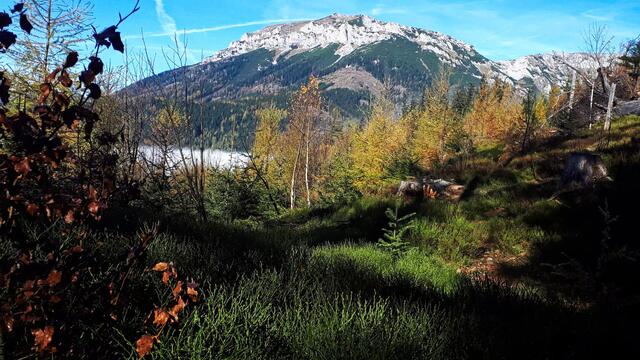 Die Wanderung eignet sich hervorragend für Herbsttage, denn über der Nebeldecke scheint bekanntlich die Sonne. | Foto: Gerold Petritsch/Bahn zum Berg