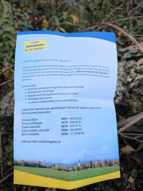 Mit einem Flyer macht Christa Tisch auf ihre Namensliste aufmerksam. | Foto: privat