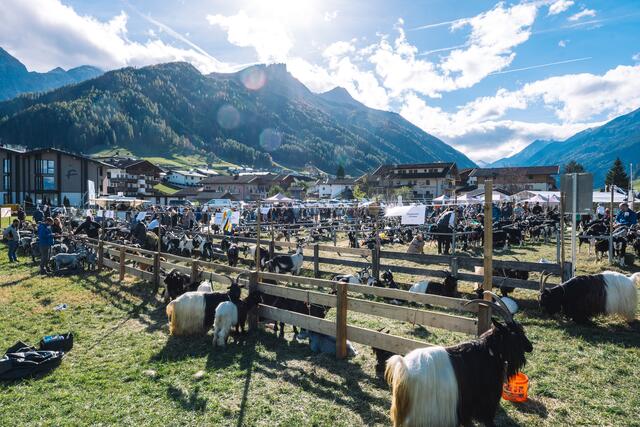 Foto: Pernsteiner