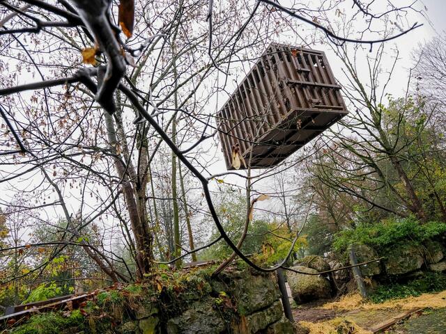 Nervenaufreibender Moment im Zoo Salzburg: Die inklusive Nashorn vier Tonnen wiegende Transportkiste wurde mit einem Kran auf den Lkw geladen. | Foto: Zoo Salzburg