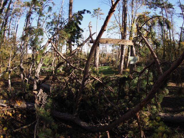 Der Zugang zum Seelenwald.