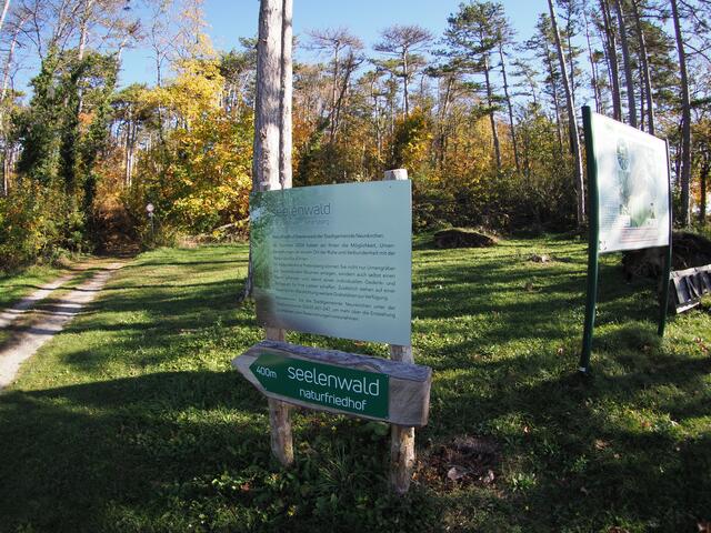 Nicht täuschen lassen: der Wegweiser existiert bereits, der Seelenwald ist aber offiziell noch nicht in Betrieb.