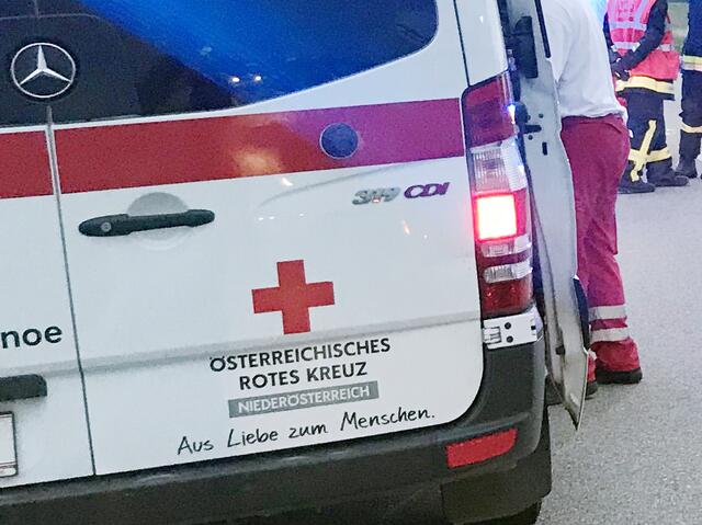 Der Rettungsdienst versorgte den Verletzten an der Unfallstelle. | Foto: Rotes Kreuz