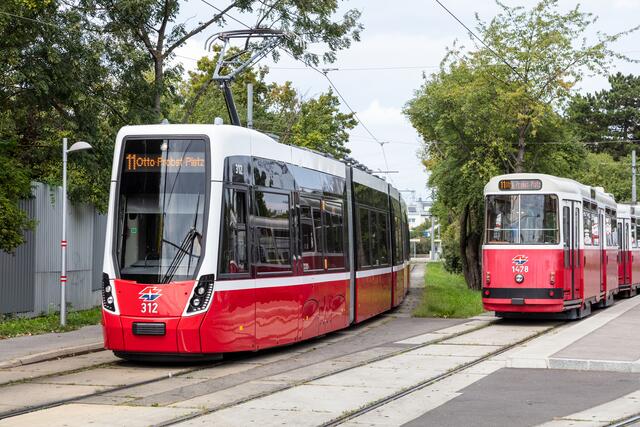 Auch dieses Jahr werden am 1. November die Intervalle verschiedener Straßenbahnen auf Friedhofslinien verkürzt. (Archivfoto) | Foto: Manfred Helmer/Wiener Linien