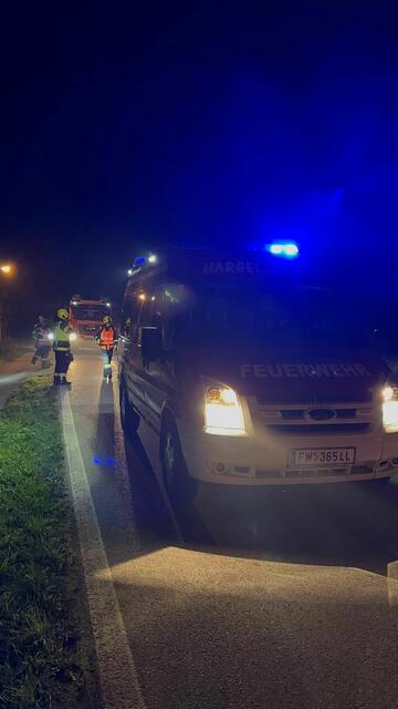 Foto: Brunner/FF Hargelsberg