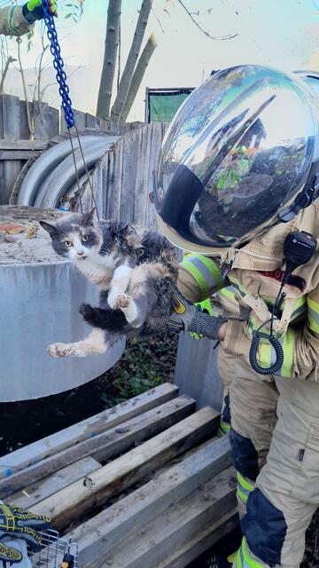 Die Katze konnte von der Feuerwehr St. Johann geborgen werden. | Foto: ZOOM.TIROL