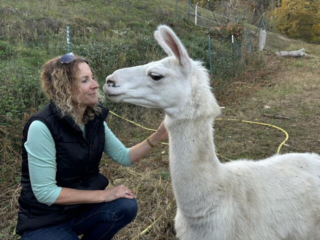 Astrid Herler alias die "Lama Lady" mit ihrem Salvatore – eines ihrer zutraulichen Lamas, die sich manchmal streicheln lassen. | Foto: Lauren Seywald