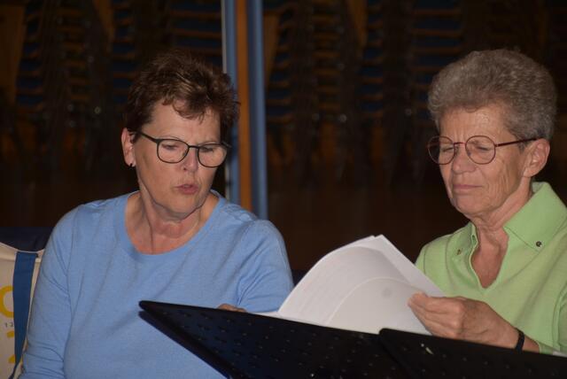 Gospels und Gesänge zum Abend heißt es am Samstag, 23. November 2024, um 19.30 Uhr in der Pfarrkirche Pabneukirchen. Die SchonSoNetten, das Frauenensemble der Liedertafel Pabneukirchen, laden zu ihrem Abendkonzert.  | Foto: Zinterhof