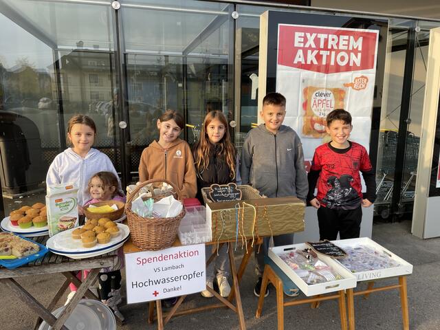 In ganz Lambach waren die Volksschüler unterwegs, um für die gute Sache zu verkaufen und zu sammeln. | Foto: VS Lambach