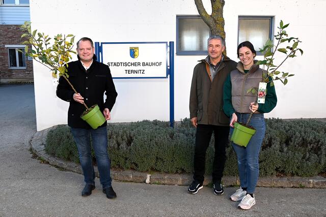 Bürgermeister Christian Samwald, Bauhofleiter Bernhard Feurer und  Jugendstadträtin Jeannine Schmid. | Foto: Stadtgemeinde Ternitz