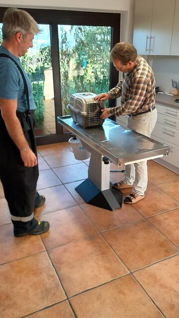 Nach erfolgreicher Bergung wurde die Katze von einem Tierarzt untersucht. | Foto: ZOOM.TIROL