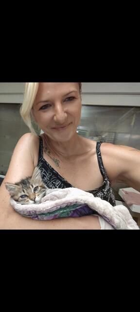 Nina Mocnik bittet die Bevölkerung um Tierfutterspenden und Kratzbäume. | Foto: Mocnik