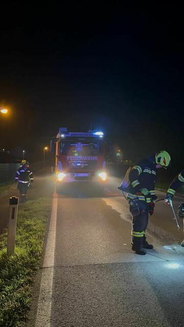 Foto: Brunner/FF Hargelsberg